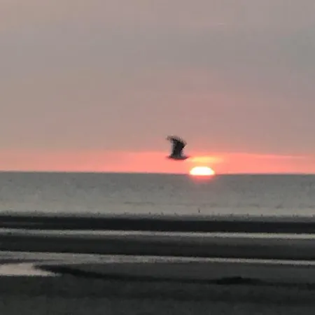 Sur La De Malo Les Bains Vue Apartament *