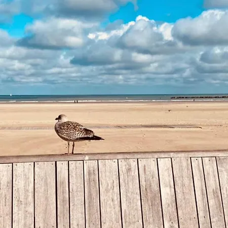 Sur La De Malo Les Bains Vue Apartament