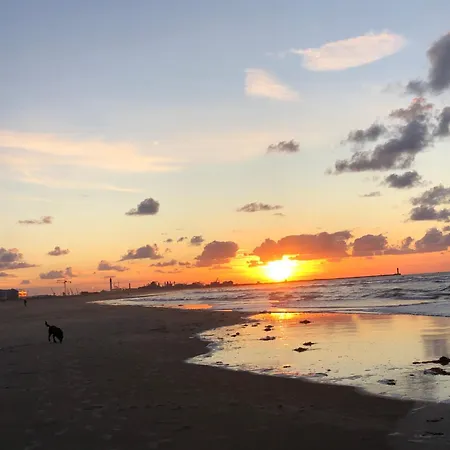 Sur La De Malo Les Bains Vue Apartament *