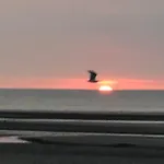 Sur La De Malo Les Bains Vue דירה *