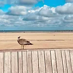 Sur La De Malo Les Bains Vue דירה
