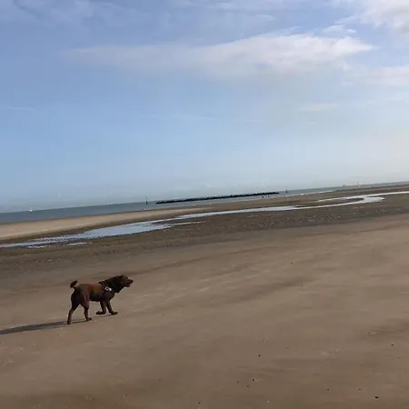 דירה Sur La De Malo Les Bains Vue Dunkirk